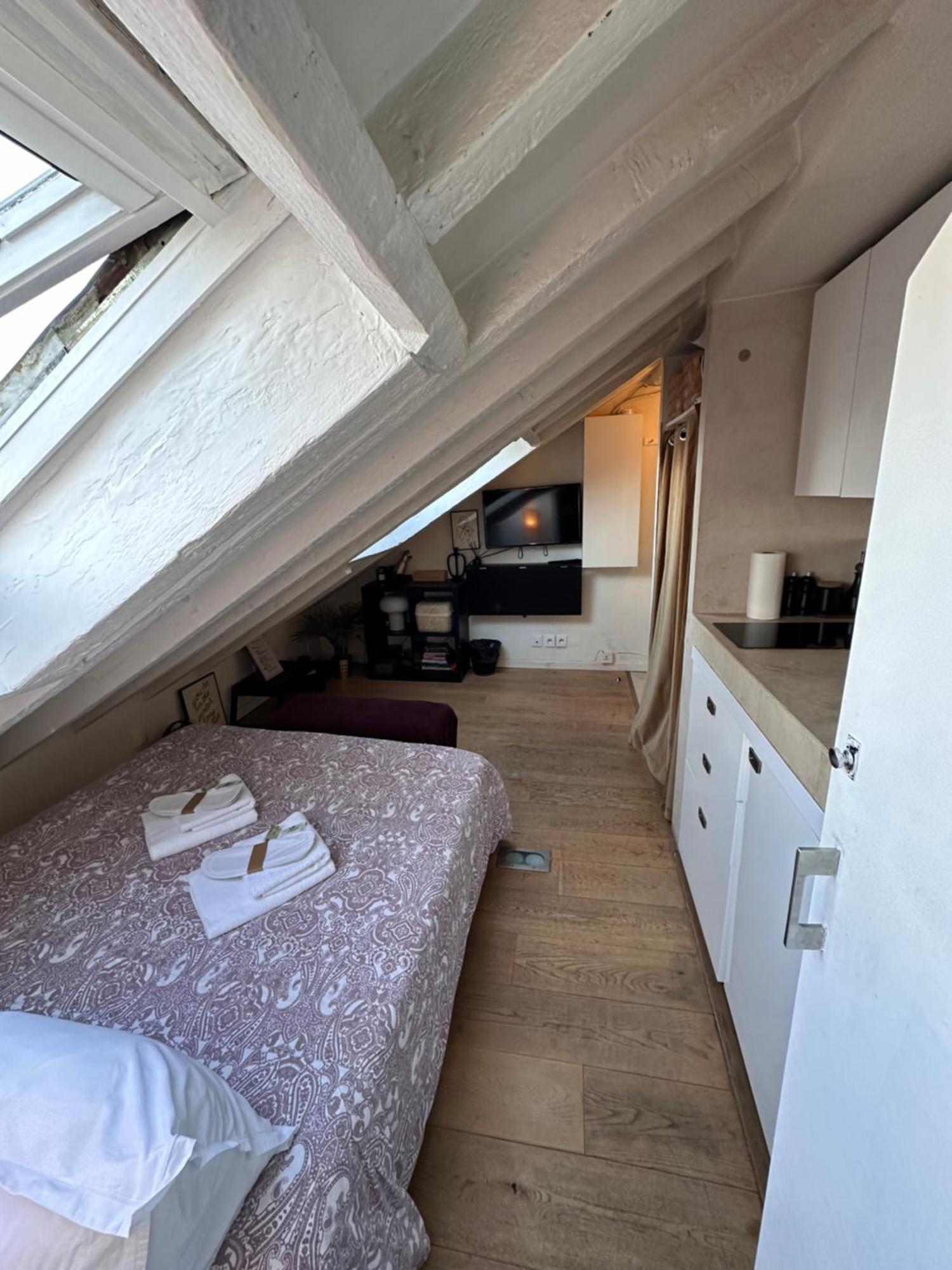 Appartamento Marais Rooftop Studio - Metro Filles Du Calvaire Parigi Esterno foto